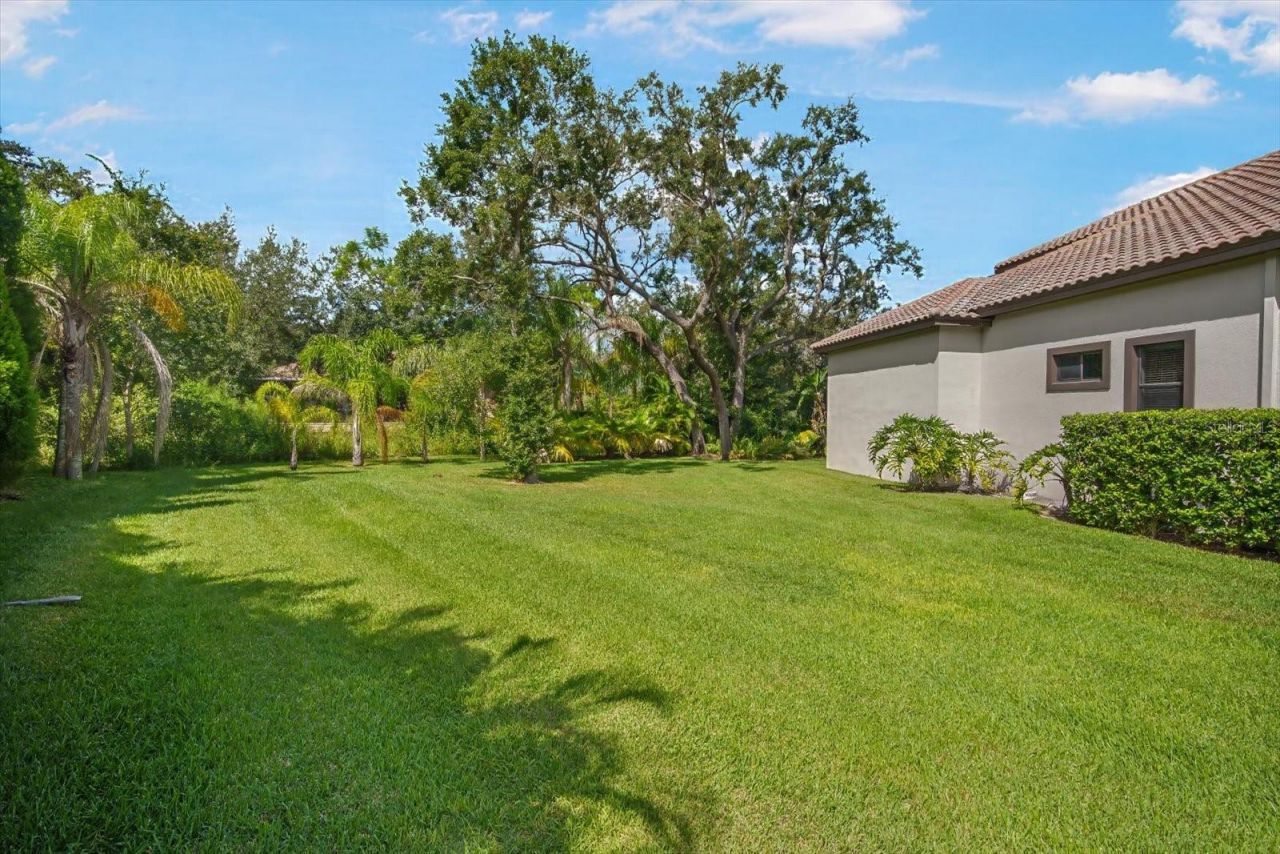 16220 Ternglade Drive, Lithia, FL 33547 Photo