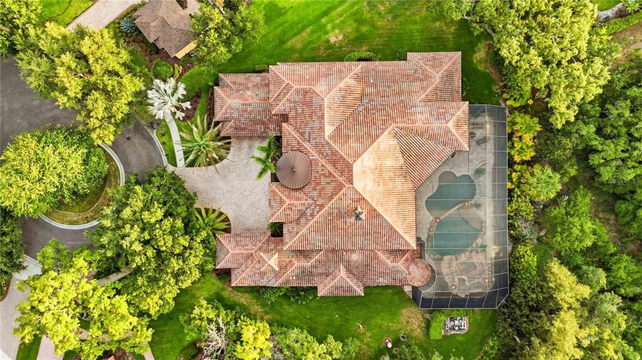 16220 Ternglade Drive, Lithia, FL 33547 Photo