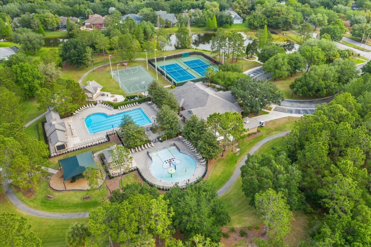 16220 Ternglade Drive, Lithia, FL 33547 Photo