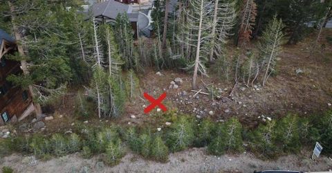 239 Palisades Drive, Kirkwood, CA 95646 Photo