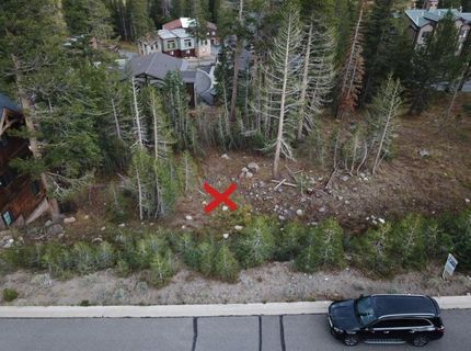 239 Palisades Drive, Kirkwood, CA 95646 Photo