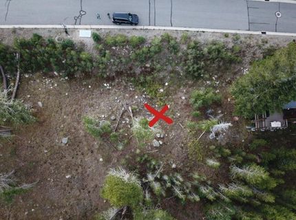 239 Palisades Drive, Kirkwood, CA 95646 Photo
