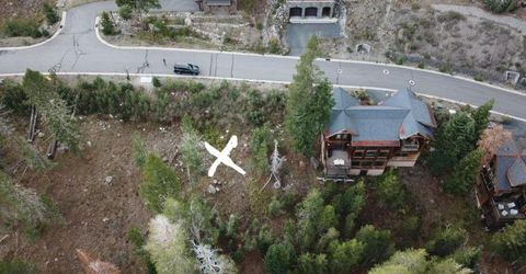 239 Palisades Drive, Kirkwood, CA 95646 Photo