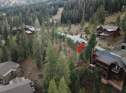 239 Palisades Drive, Kirkwood, CA 95646 Photo