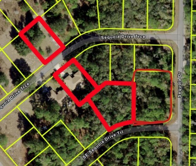 10 Sequoia Drive Trace, Ocklawaha, FL 32179 Photo