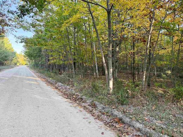 TBD Mrs. Reddings Trail, Beaver Island, MI 49782