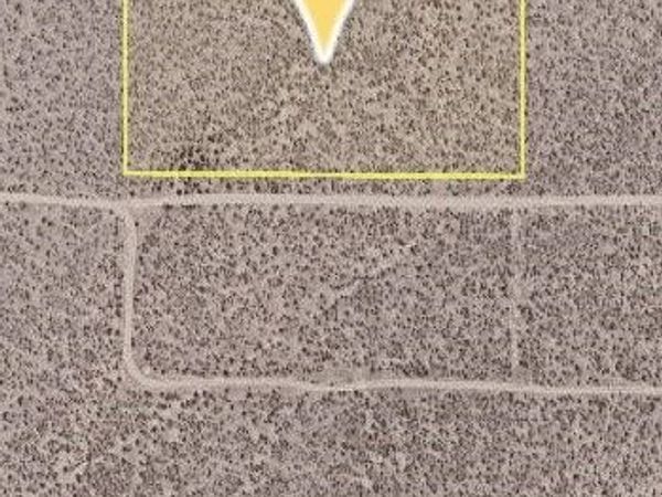 1 neuralia, Cantil, CA 93501