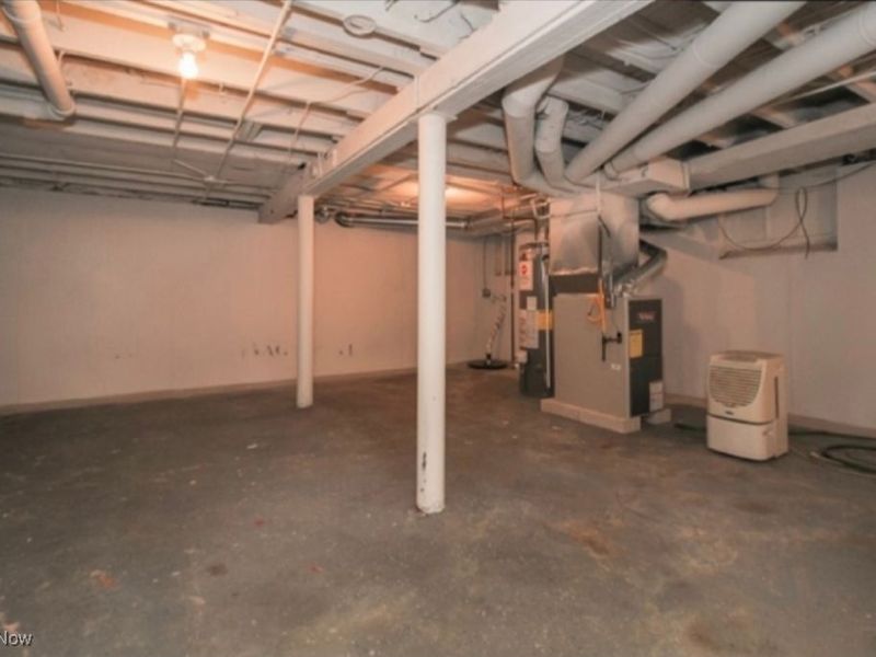 3821 Delmore Road, Cleveland Heights, OH 44121 Photo 9