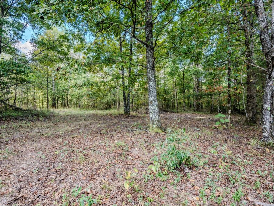 Property Image 61