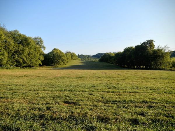 3 Mount Joy Rd, Mount Pleasant, TN 38474