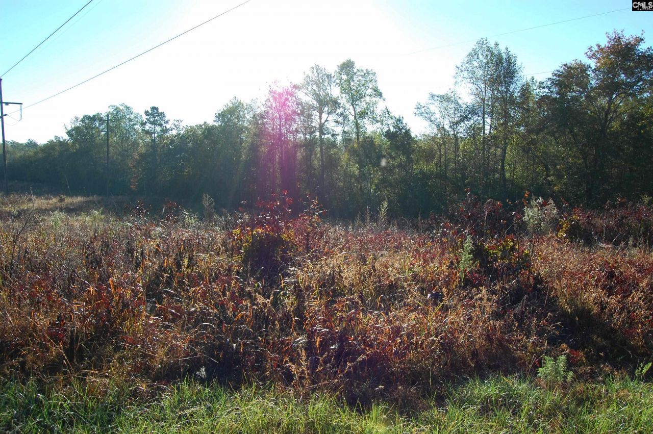 322 Sandspur Road  Photo 9