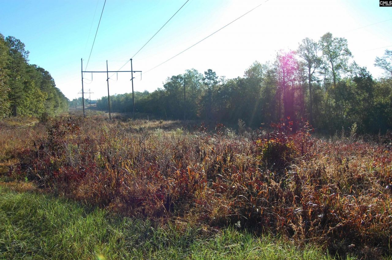 322 Sandspur Road  Photo 10