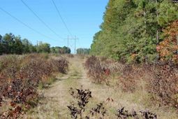 322 Sandspur Road  photo 4