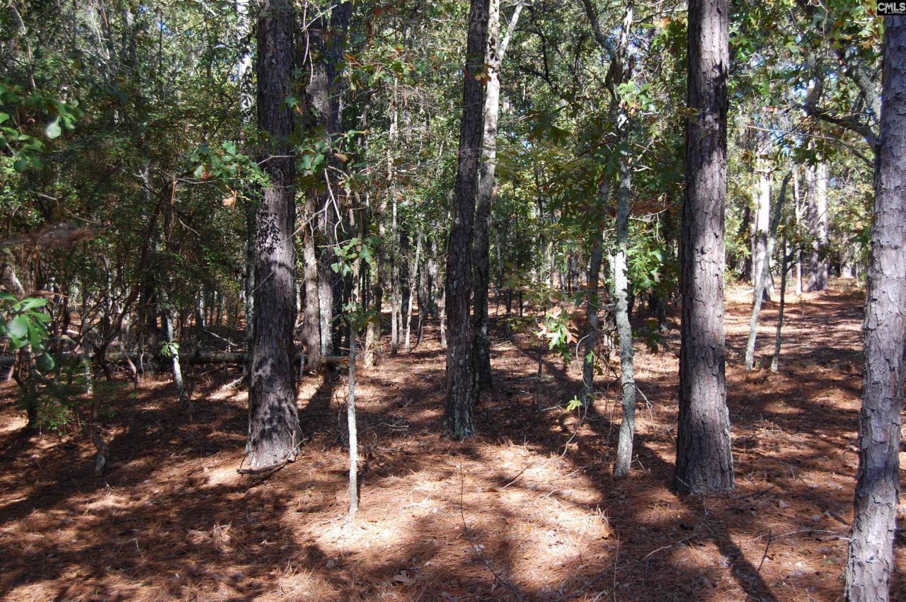 322 Sandspur Road  Photo 4