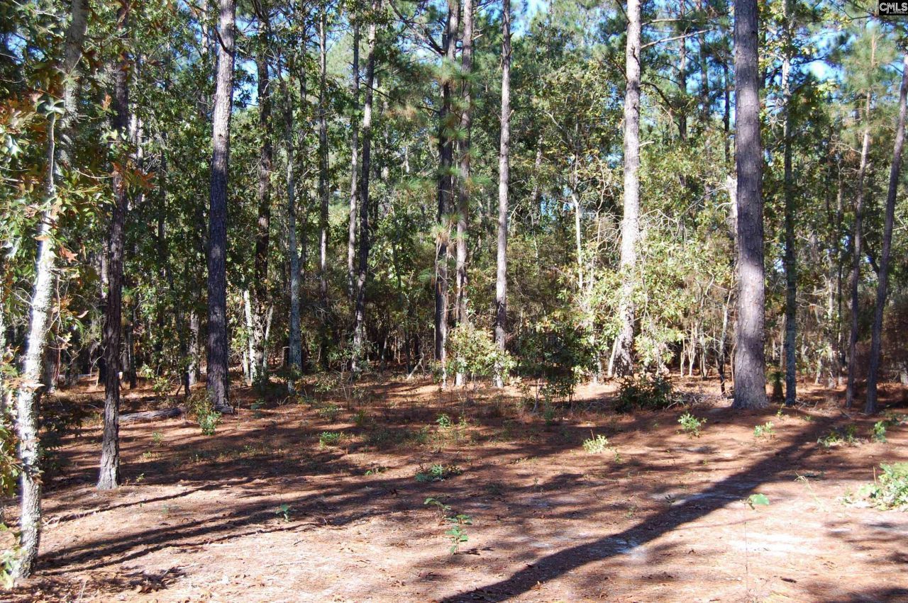 322 Sandspur Road  Photo 5