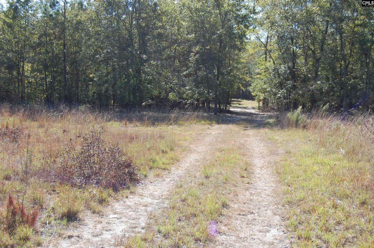 322 Sandspur Road  Photo 6