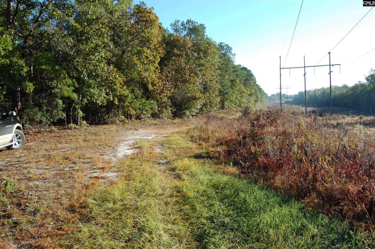 322 Sandspur Road  Photo 7