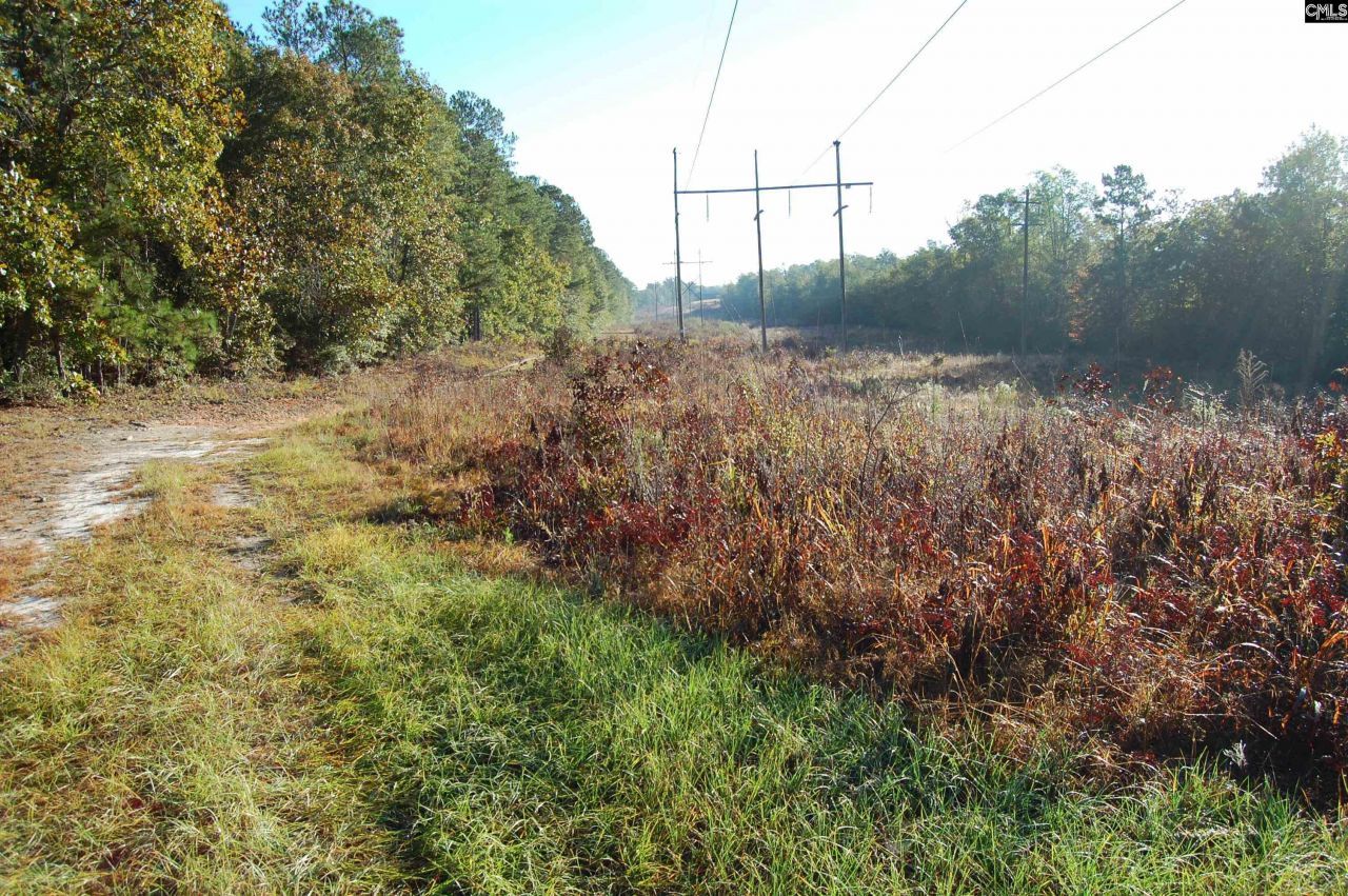 322 Sandspur Road  Photo 8