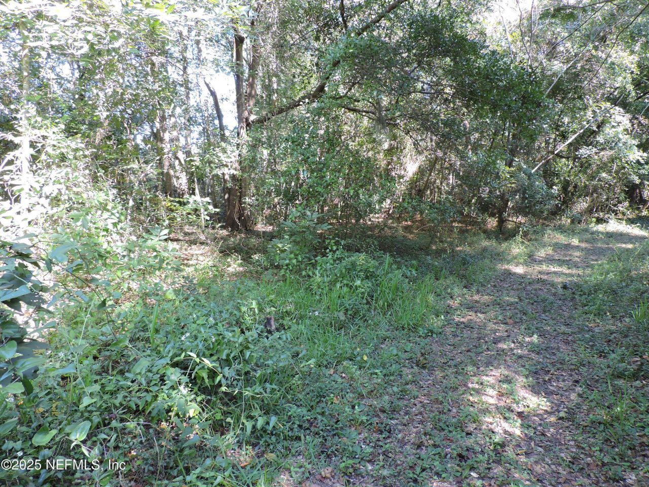 2955/2935 New Berlin Road, Jacksonville, FL 32226 Photo