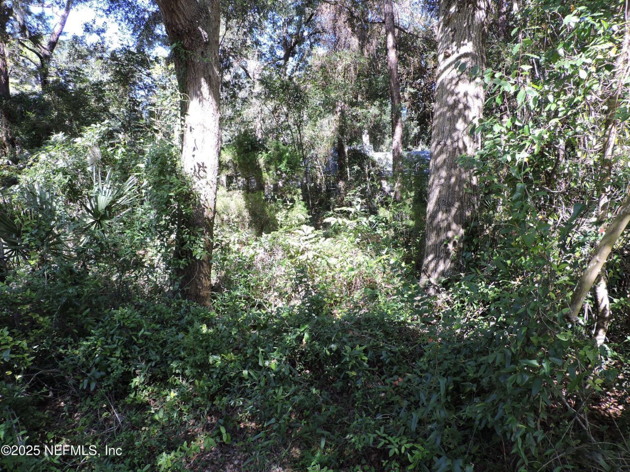 2955/2935 New Berlin Road, Jacksonville, FL 32226 Photo