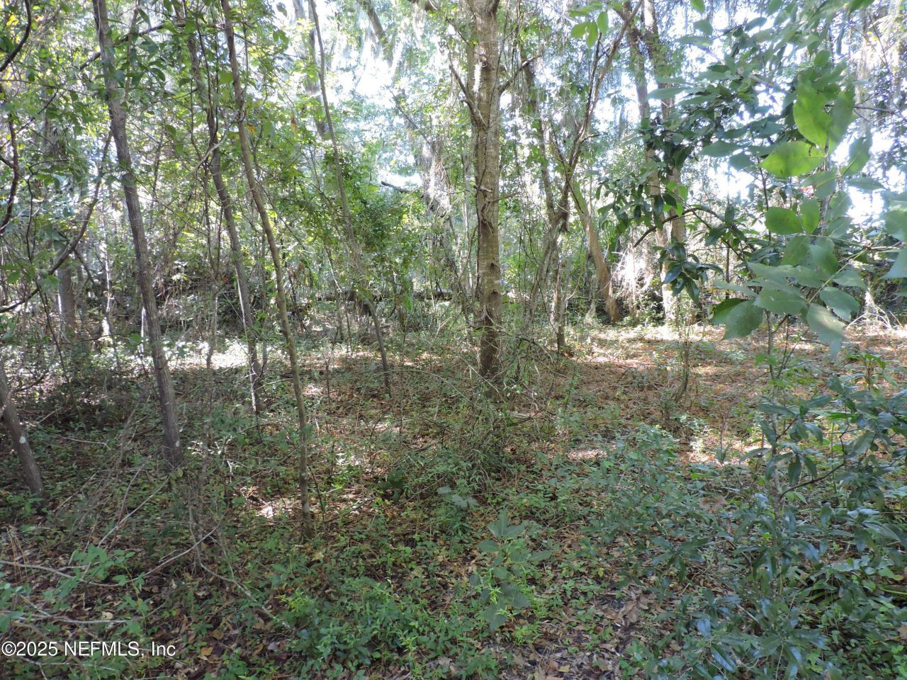 2955/2935 New Berlin Road, Jacksonville, FL 32226 Photo