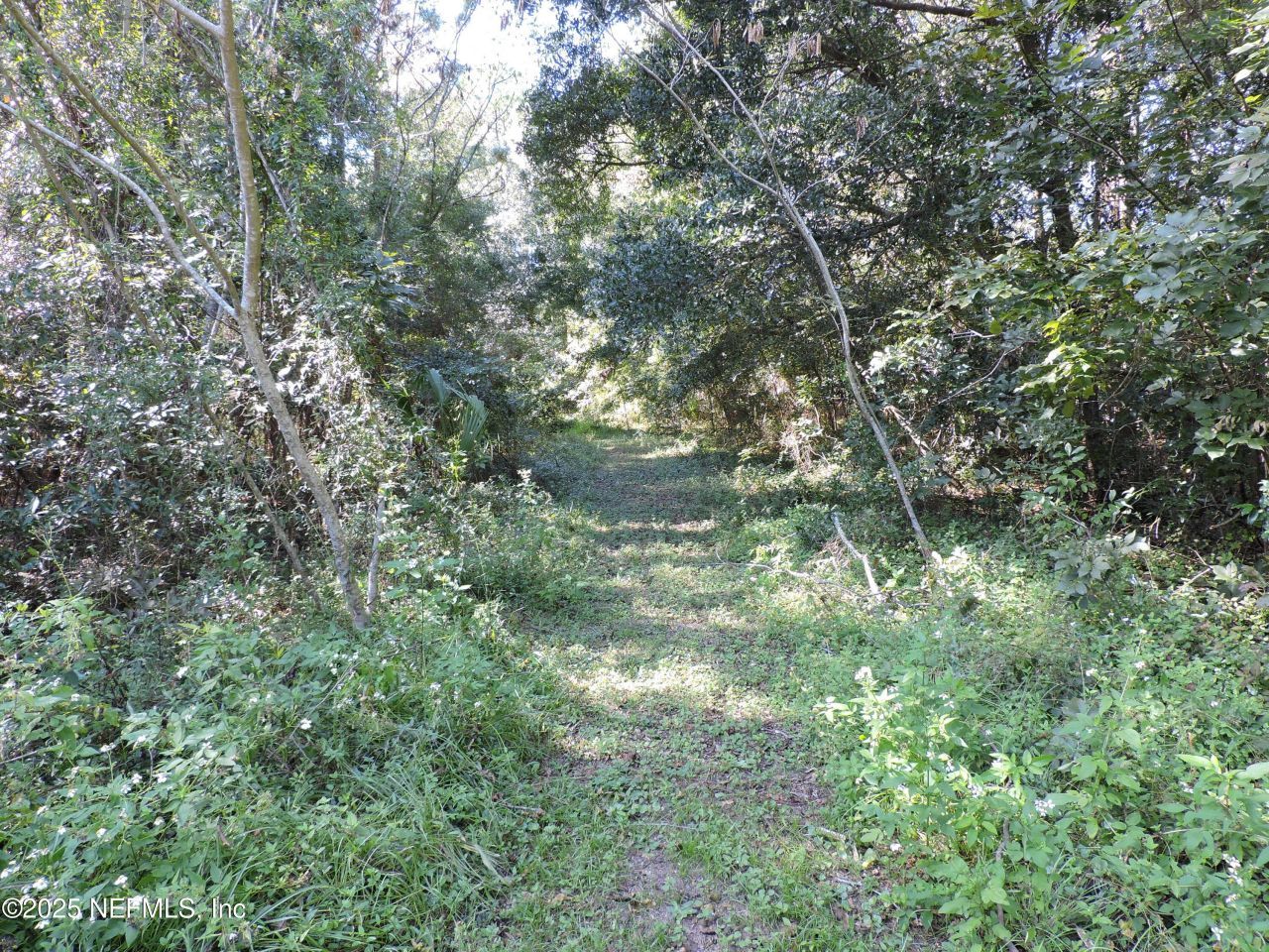 2955/2935 New Berlin Road, Jacksonville, FL 32226 Photo