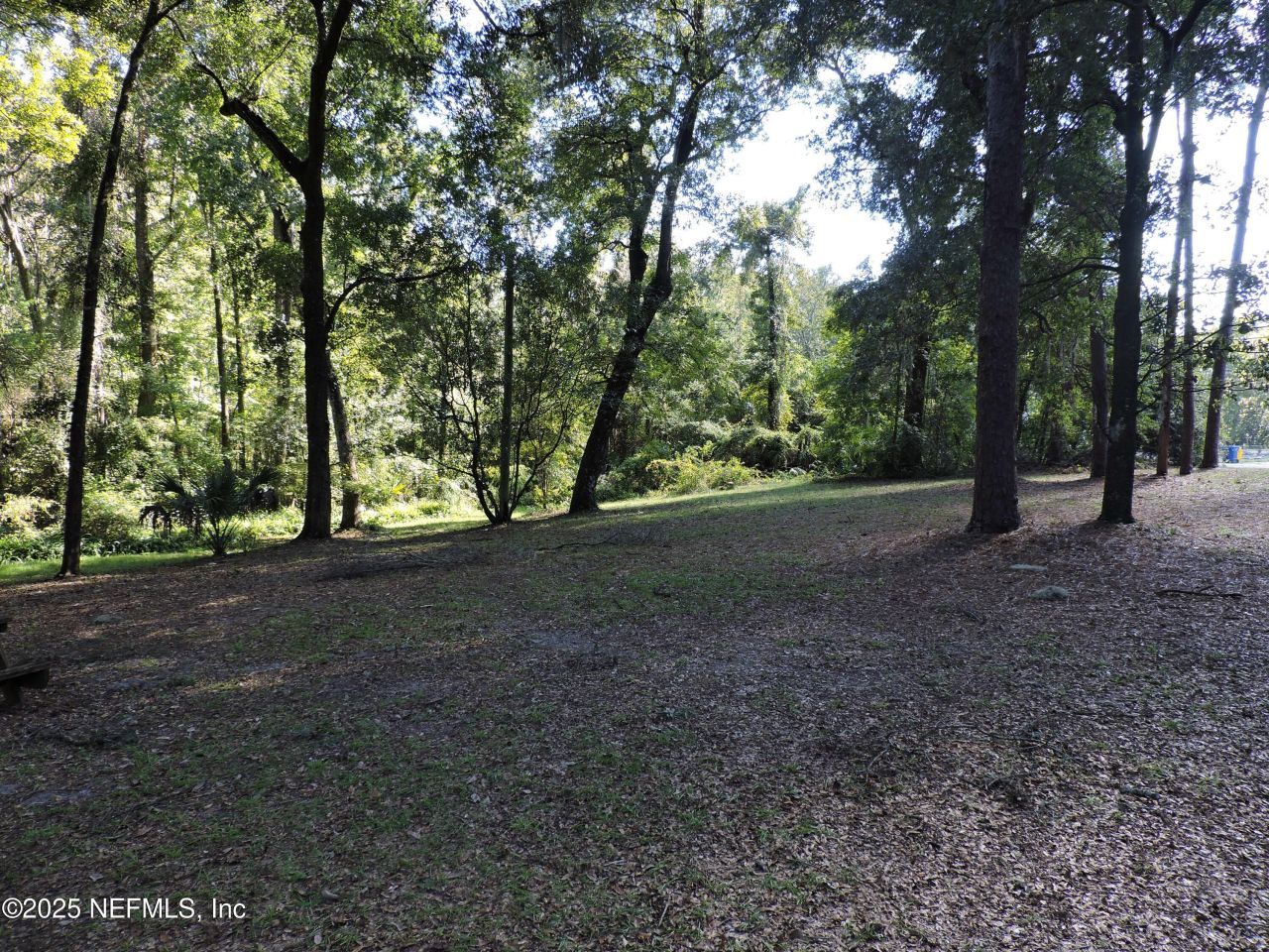 2955/2935 New Berlin Road, Jacksonville, FL 32226 Photo