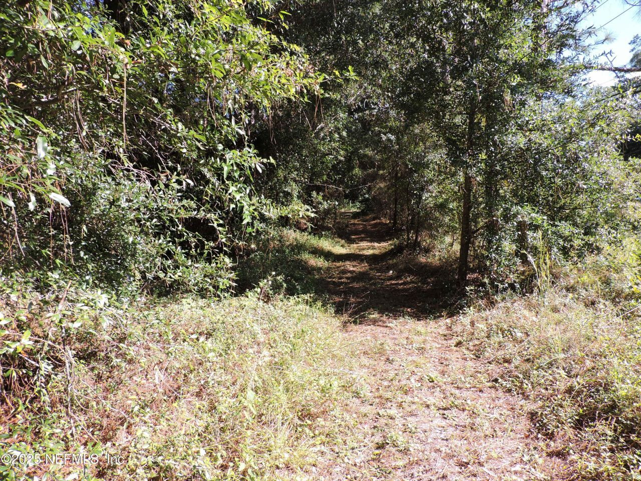 2955/2935 New Berlin Road, Jacksonville, FL 32226 Photo