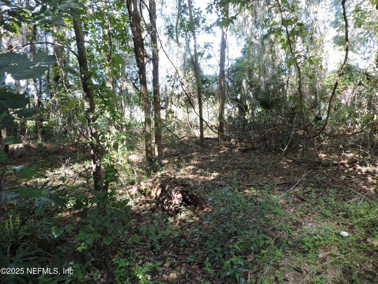 2955/2935 New Berlin Road, Jacksonville, FL 32226 Photo