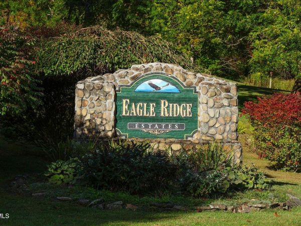 Tbd Eagle Ridge Road, Roan Mountain, TN 37687