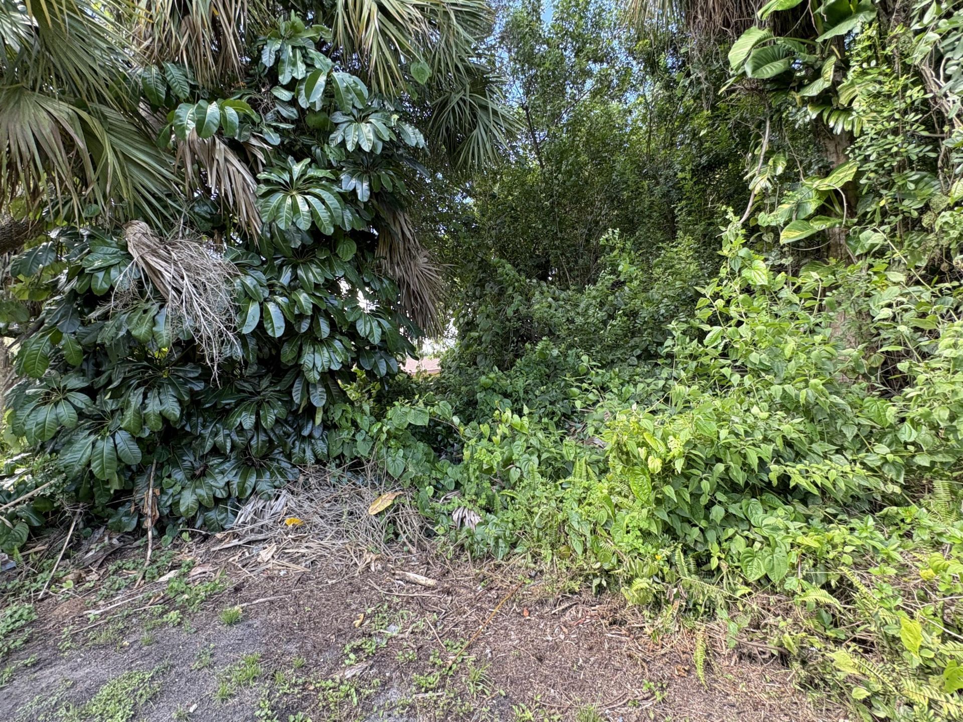Tbd Santa Clara Boulevard, Port Saint Lucie, FL 34951 Photo