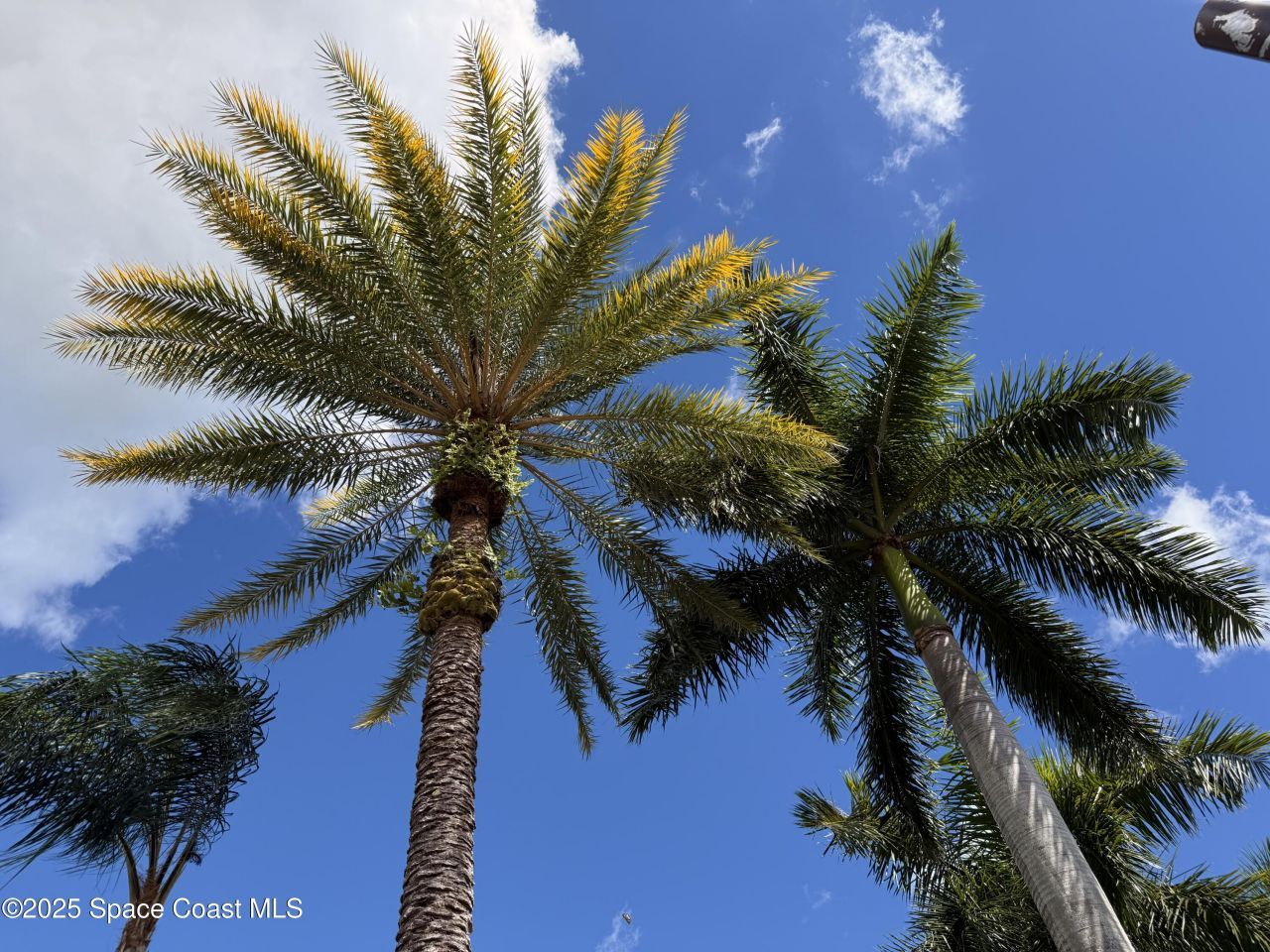 633 NW Whitfield Way, Port Saint Lucie, FL 34986 Photo