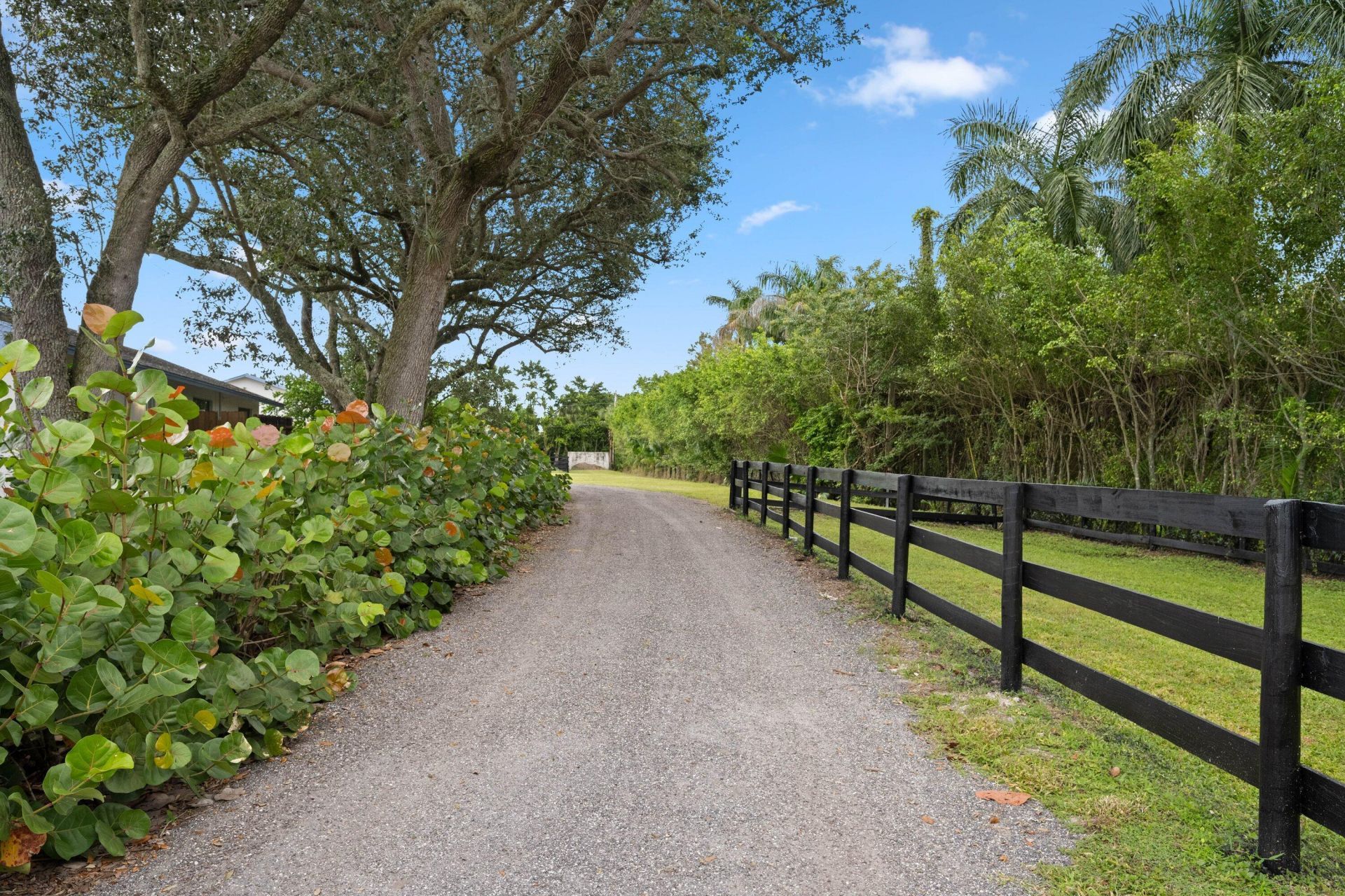 13409 60th Street S, Wellington, FL 33449 Photo