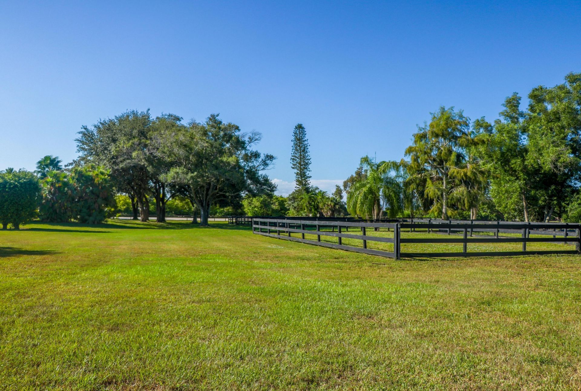 13409 60th Street S, Wellington, FL 33449 Photo