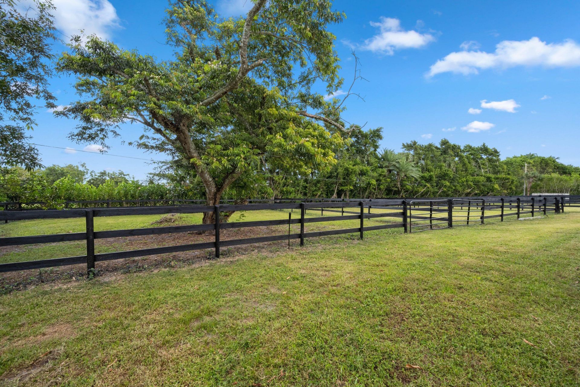 13409 60th Street S, Wellington, FL 33449 Photo