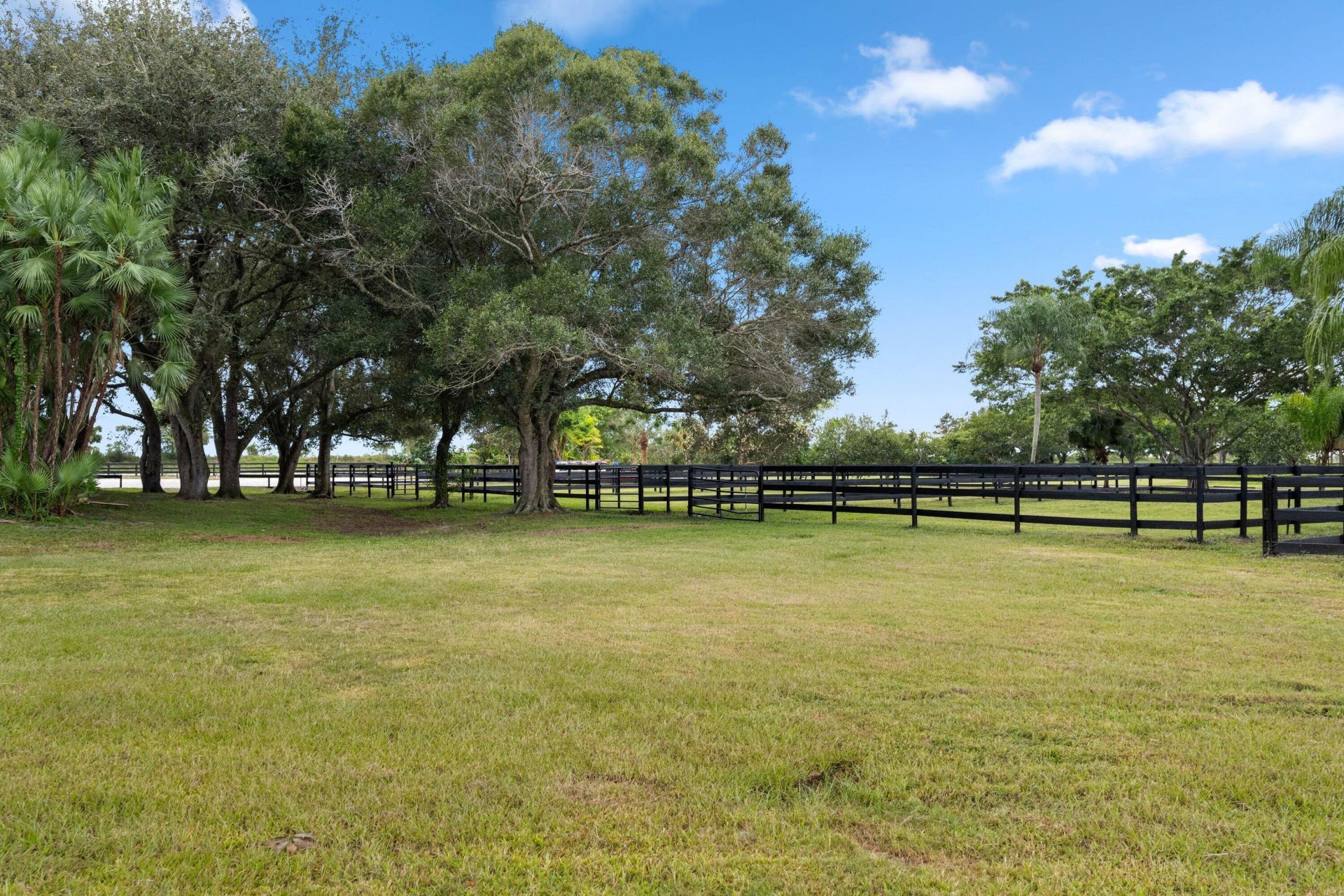 13409 60th Street S, Wellington, FL 33449 Photo
