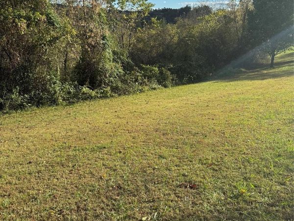 9999 Monticello Road, Weaverville, NC 28787