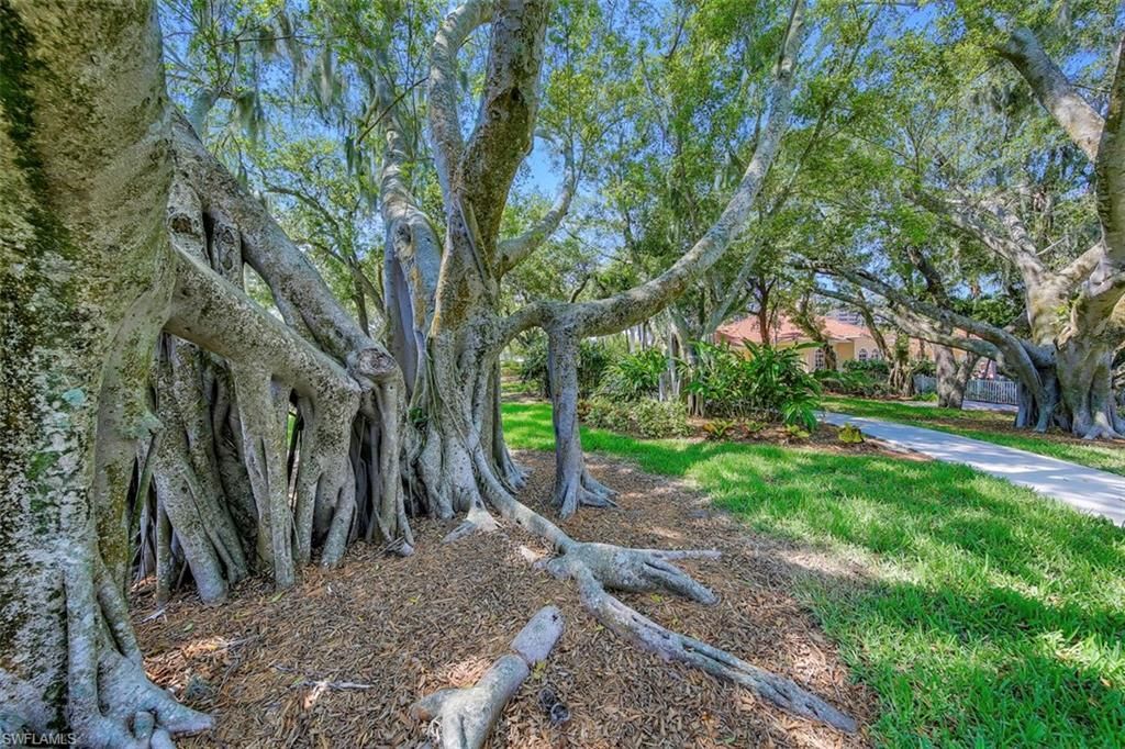 6081 Silver King Blvd, Unit 501, Cape Coral, FL 33914 Photo