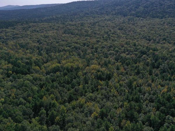 0000 FS RD 795, Bluffton, AR 72827