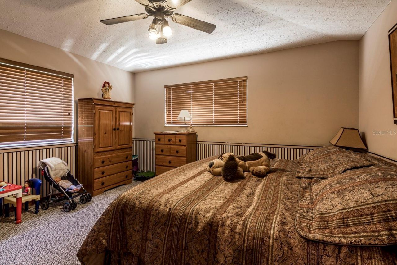 9215 Ridge Road, New Port Richey, FL 34654 Photo