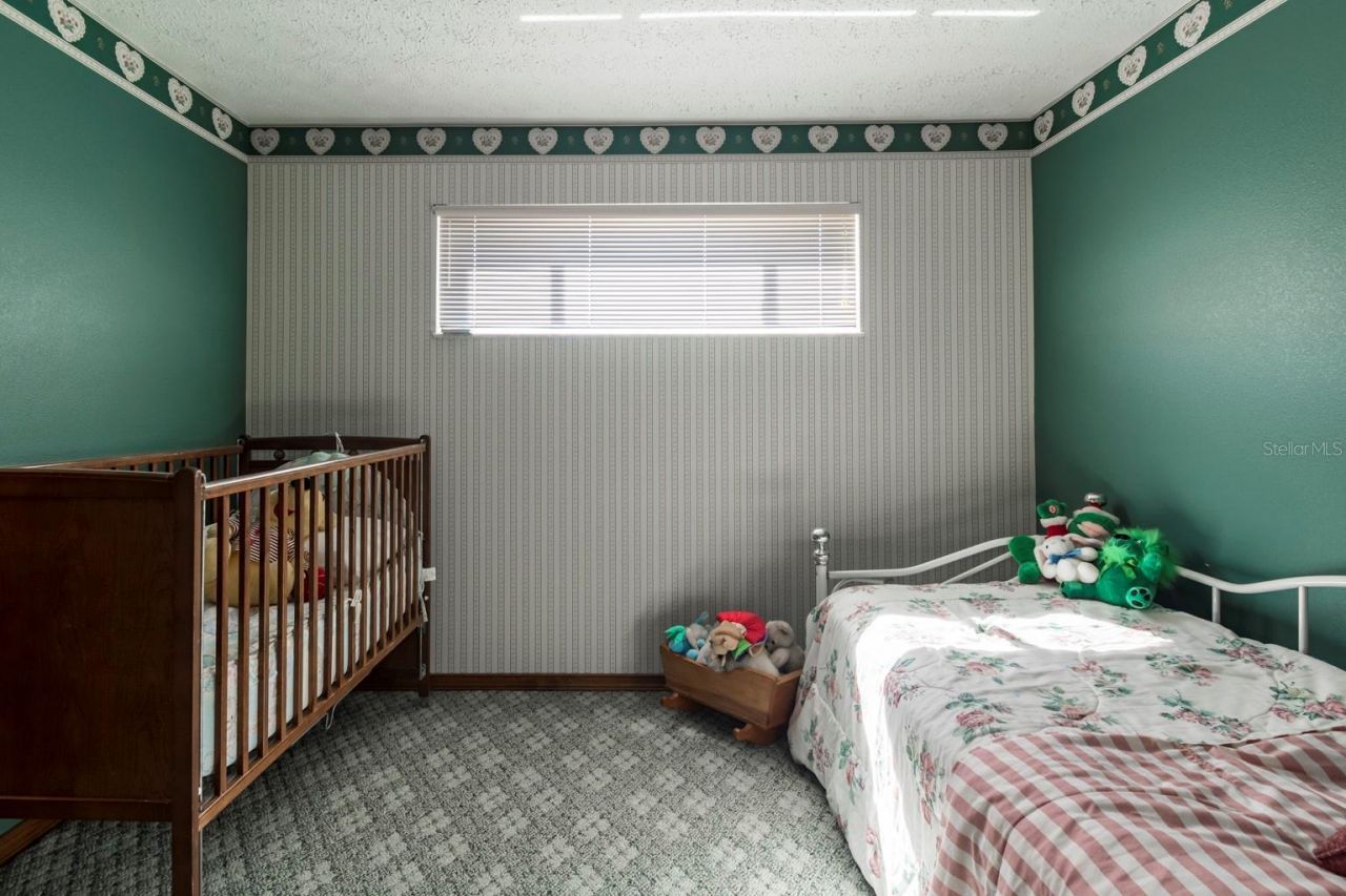 9215 Ridge Road, New Port Richey, FL 34654 Photo