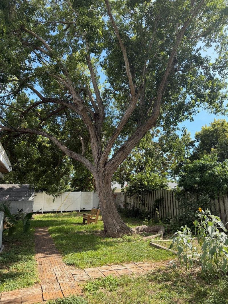2588 Colorado Street, Sarasota, FL 34237 Photo