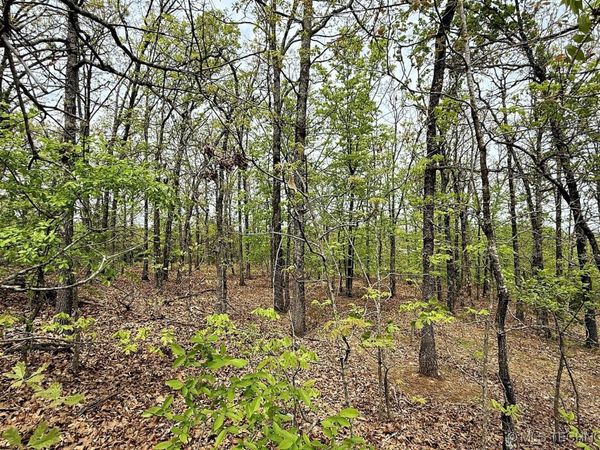 15208 Overland Drive, Park Hill, OK 74451