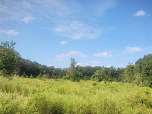 2826 NW 174TH STREET, NEWBERRY, FL 32669