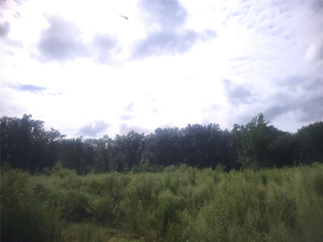 2826 NW 174th Street, Newberry, FL 32669 Photo