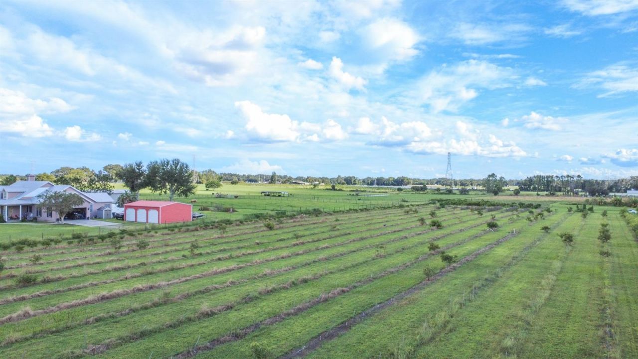 Blanton Acres Road, Plant City, FL 33565 Photo