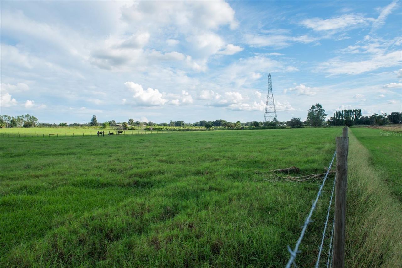 Blanton Acres Road, Plant City, FL 33565 Photo