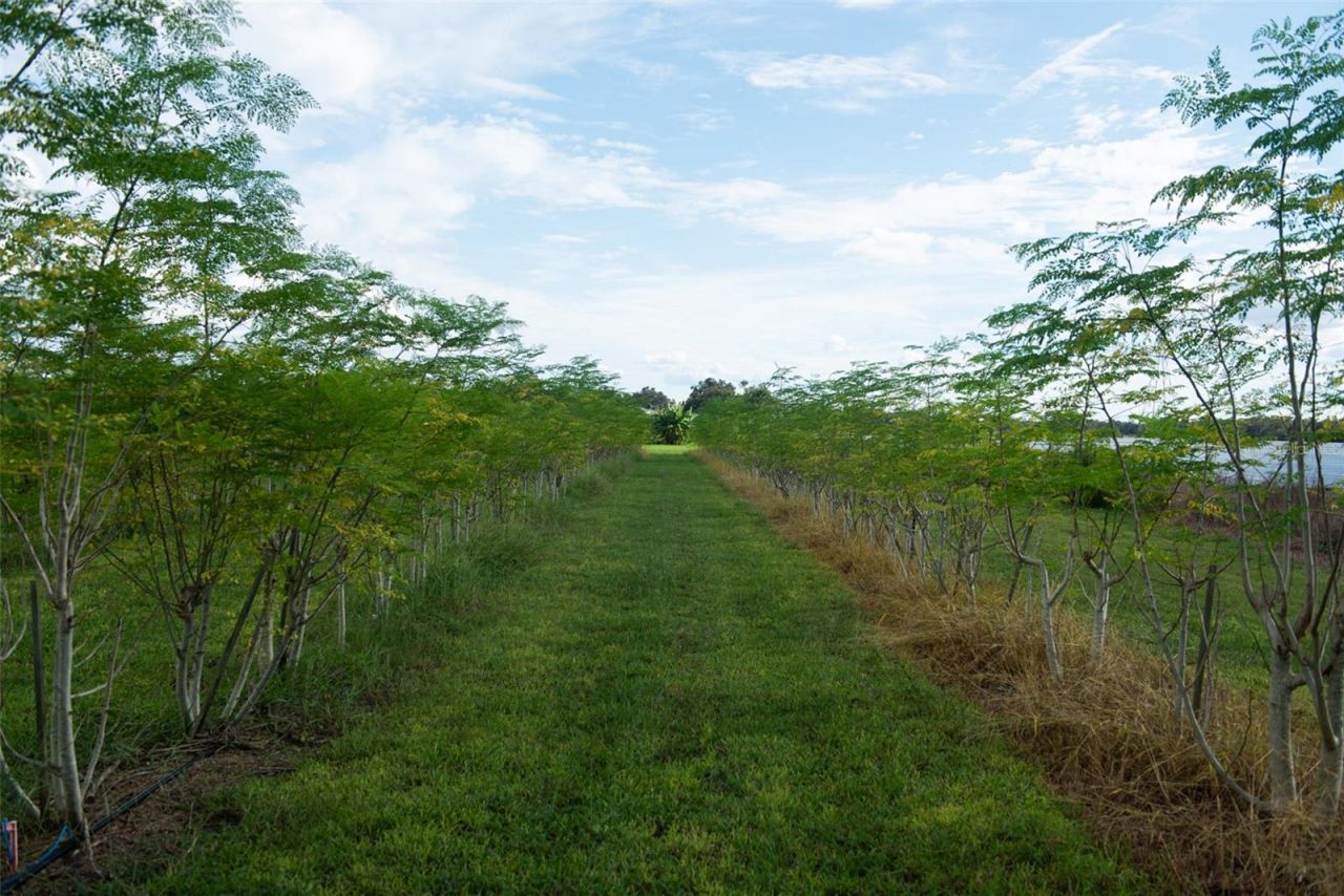 Blanton Acres Road, Plant City, FL 33565 Photo