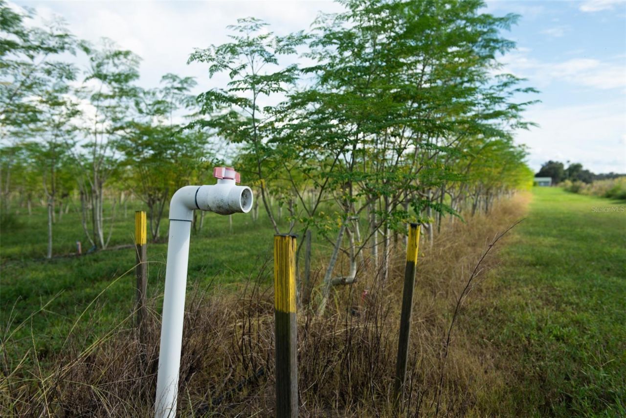 Blanton Acres Road, Plant City, FL 33565 Photo