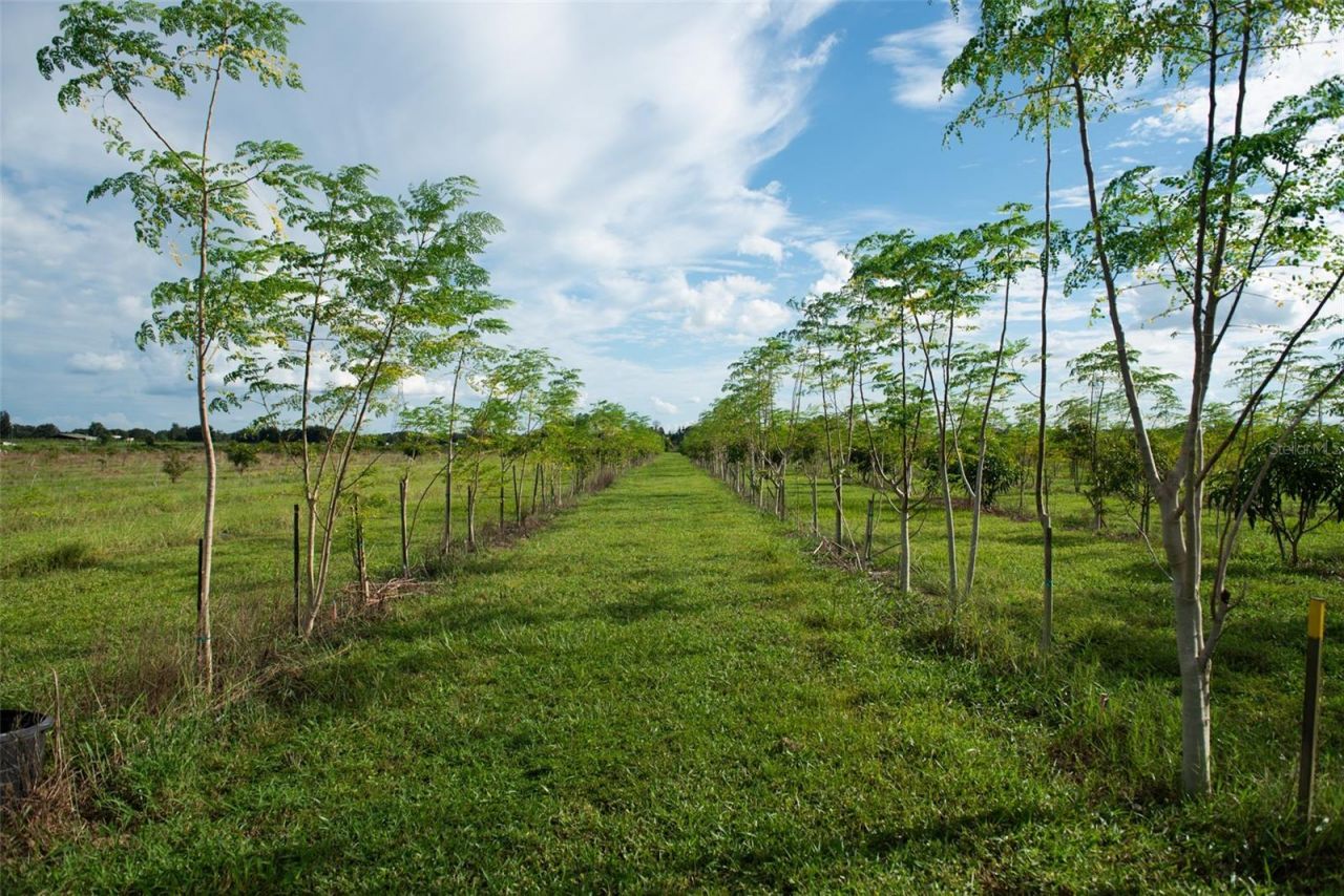 Blanton Acres Road, Plant City, FL 33565 Photo